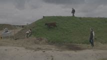 Download Clarksons.Farm.S03E03.HDR.2160p.WEB.H265 .